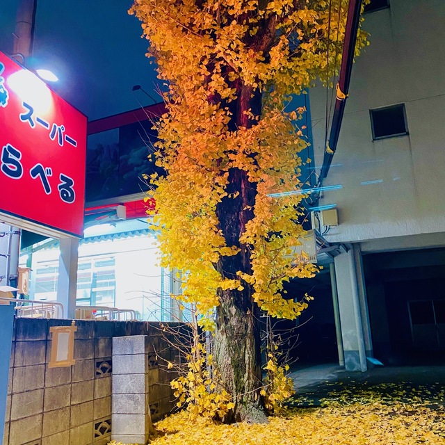 12月.jpeg