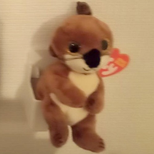 ミッチ.jpeg