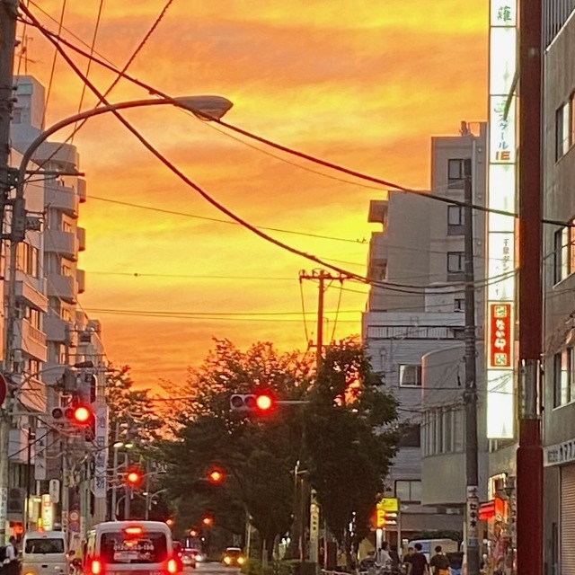 夕日.jpeg